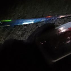 アタリはあるが、、、