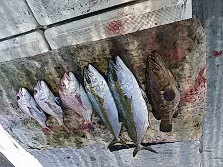 大物釣果速報！●光義丸：平戸市早福港