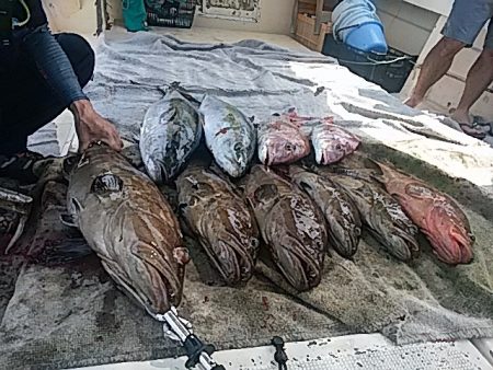 大物釣果速報！●光義丸：平戸市早福港