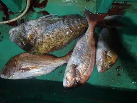 第二むつ漁丸 釣果