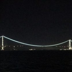 つ、つれん・・・