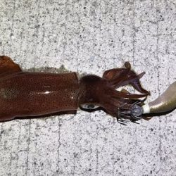 少ないけど、なんとか！