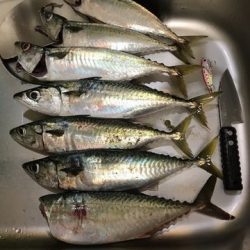 ついに・・・・