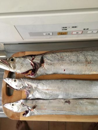 朝まずめワインド