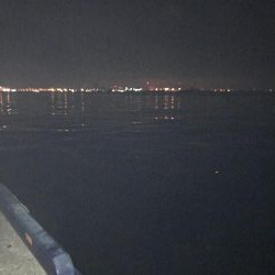 今夜もあえなく