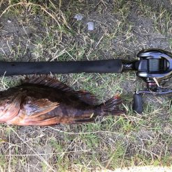 デーゲームモンスター