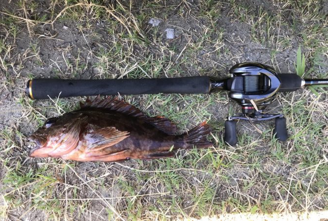 デーゲームモンスター