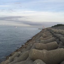 タコは取れたけど・・・・・