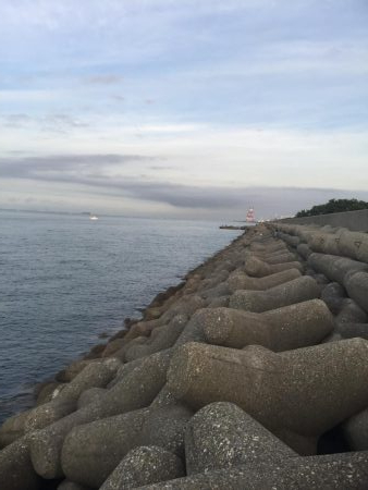 タコは取れたけど・・・・・