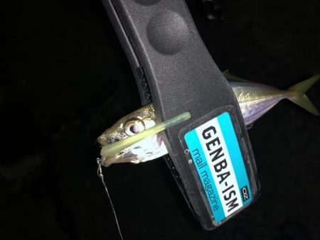 マゴバチで癒しのアジング釣行