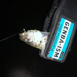 癒しのアジング