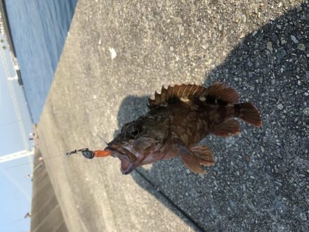 激アツ真夏のガシリング！