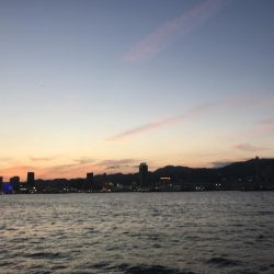 サバ20センチ級