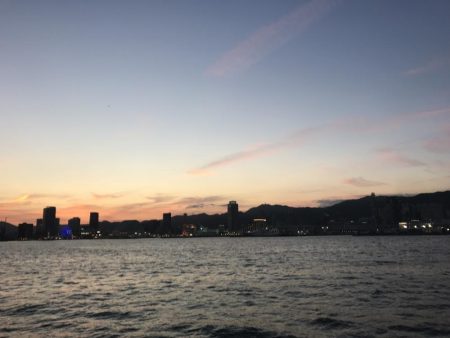 サバ20センチ級