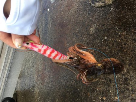 オクトパッシング