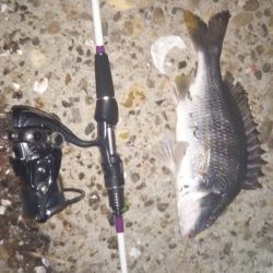 まだまだメバリング!?