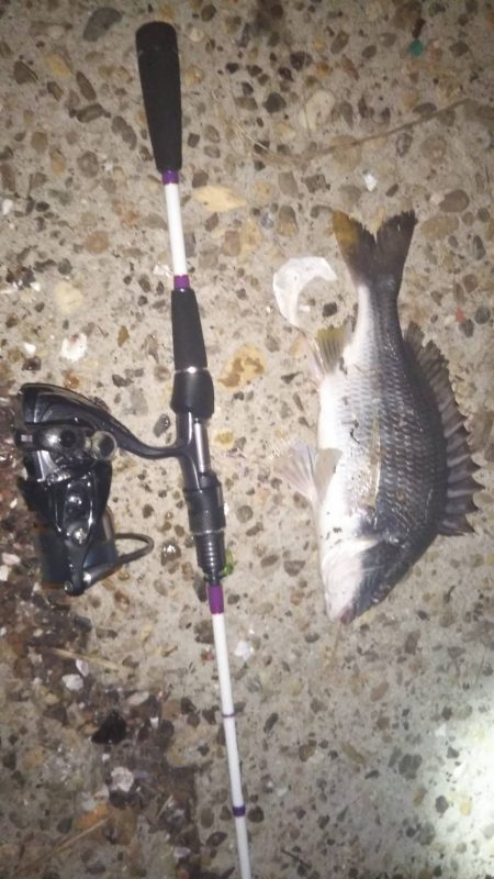 まだまだメバリング!?