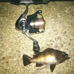 まだまだメバリング♪in爆風