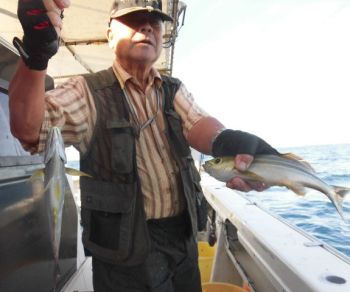 イサキ釣り