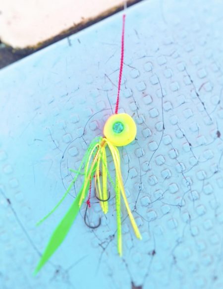 牟岐沖タイラバ海漁丸