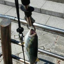 ペンペン元気！