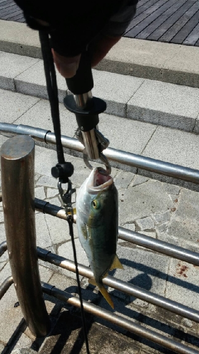 ペンペン元気！