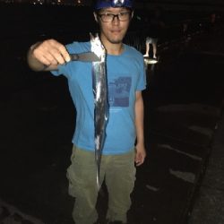 夏タチウオ調査