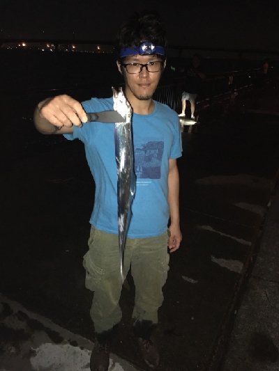 夏タチウオ調査