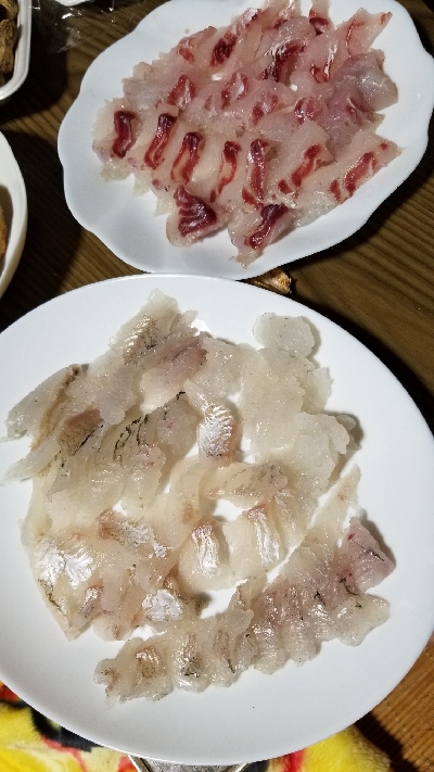 チヌの引き最高！