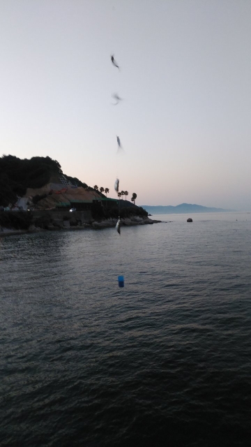 アジフライ釣行