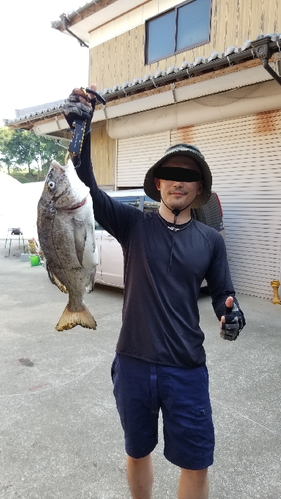 初の年無しチヌ