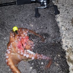 やっとおったわ!