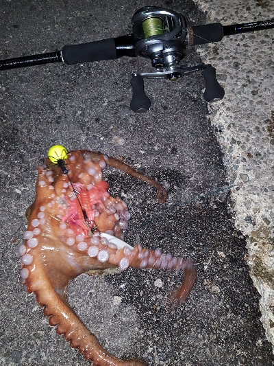 やっとおったわ！