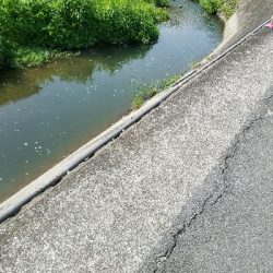 小物釣り ~釣り ガサガサ 虫採り~