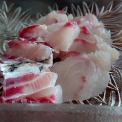 青物狙いのはずが…