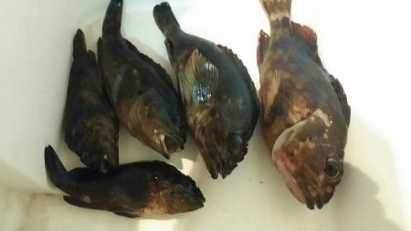 家族旅行のドサクサにて