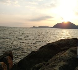 猛暑との戦い！