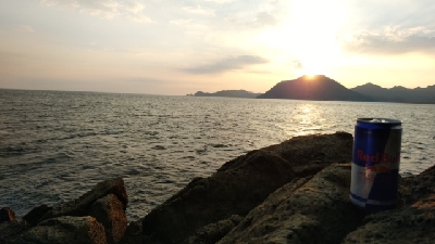 猛暑との戦い！