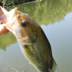 スパテラ3インチ ﾚﾍﾞﾘﾝｸﾞﾍｯﾄﾞ