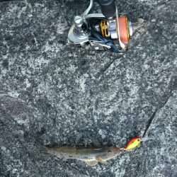 仕事終わりに・・・