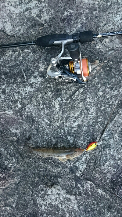 仕事終わりに・・・