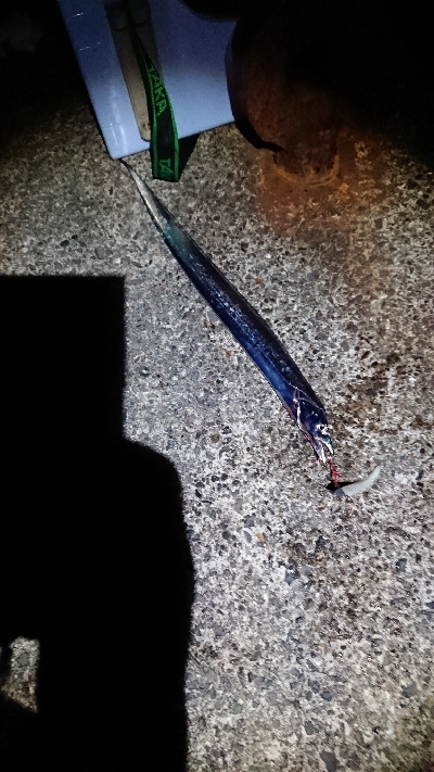 釣り部  釣行記  20