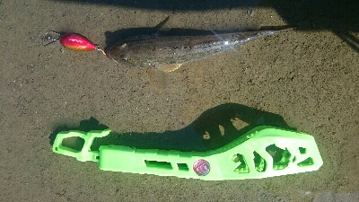 とりあえずハゼクラ