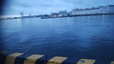 F1.5の太刀魚(￣0￣)