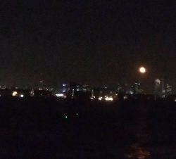 中サバと小さい太刀魚