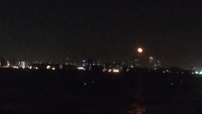 中サバと小さい太刀魚