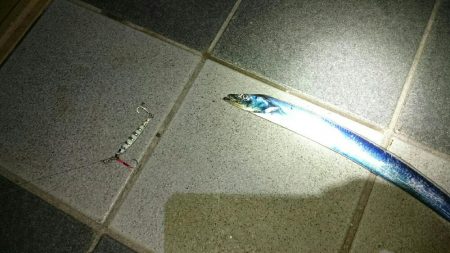 またまた、おちびさん