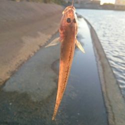 仕事終わりに・・・