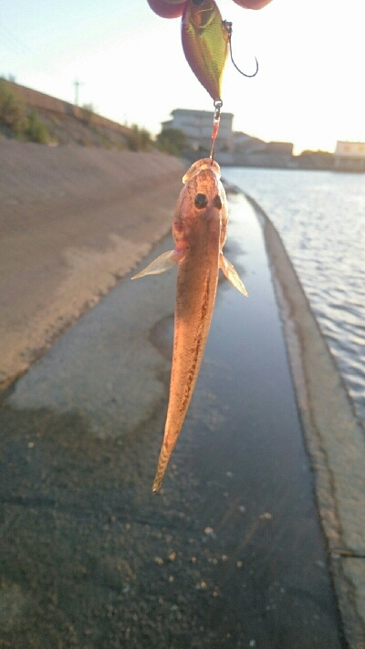 仕事終わりに・・・