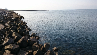 久々デイシーバス